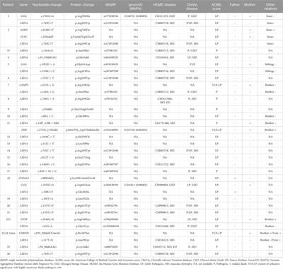 LMNA-related muscular dystrophy: Identification of variants in alternative genes and personalized clinical translation